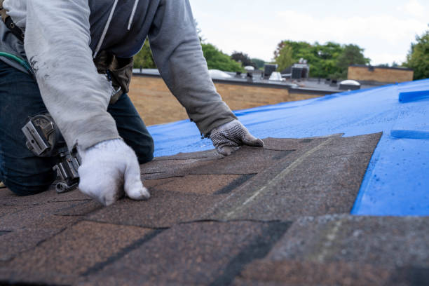 Best Storm Damage Roof Repair  in Clarence, IA