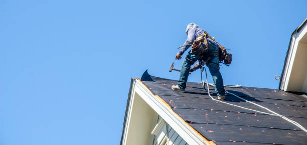 Best Residential Roofing Contractor  in Clarence, IA
